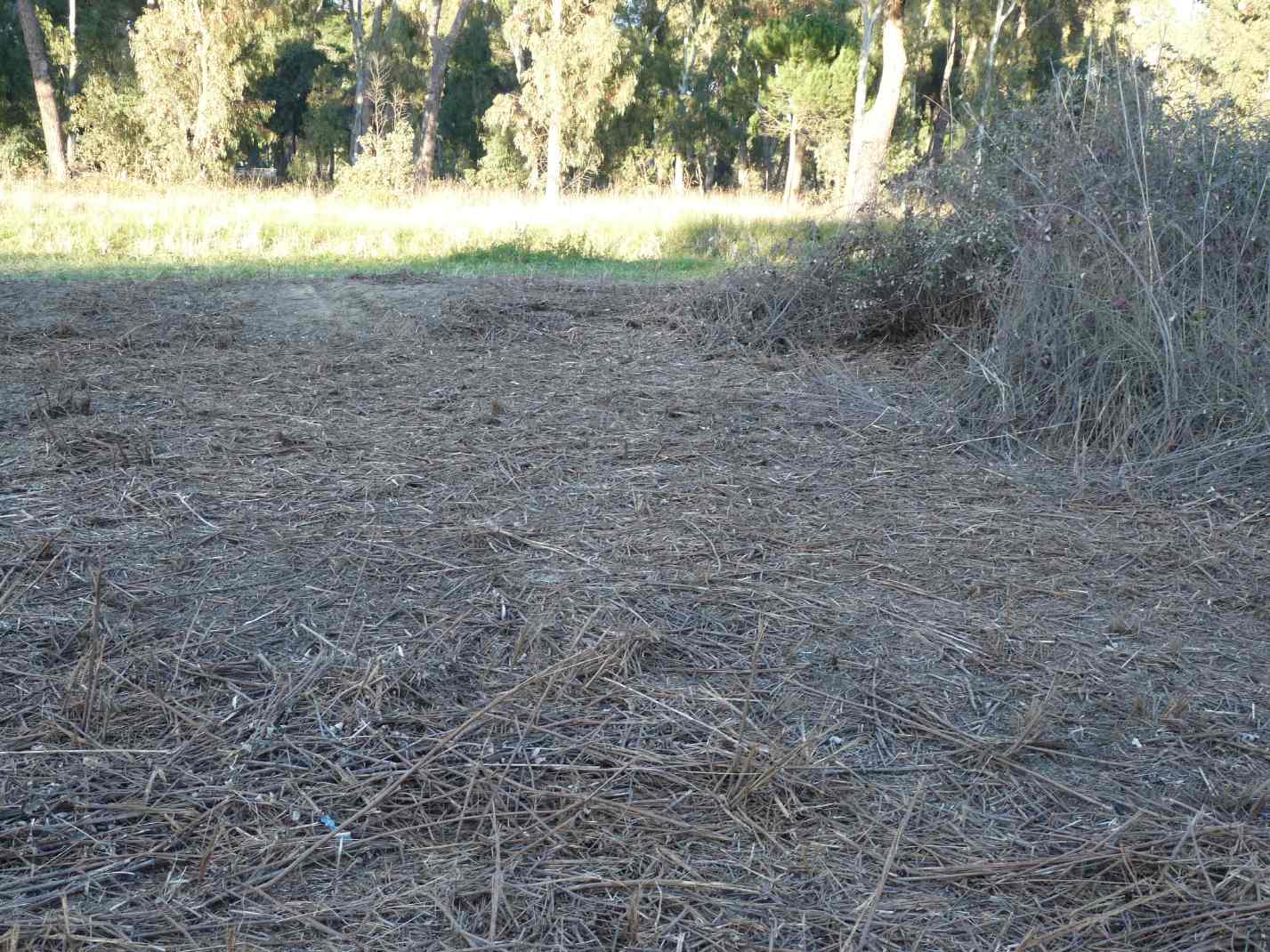 Cosa si intende per Ambiente?